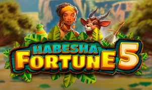 Habesha Fortune 5